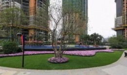 雅居乐爆料最新消息新闻,揭秘企业动态与未来发展规划